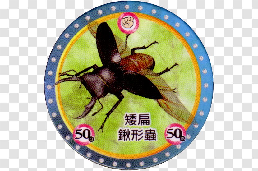 Mushiking: The King Of Beetles Stag Beetle Milk Caps Dorcus Titanus - Pest Transparent PNG