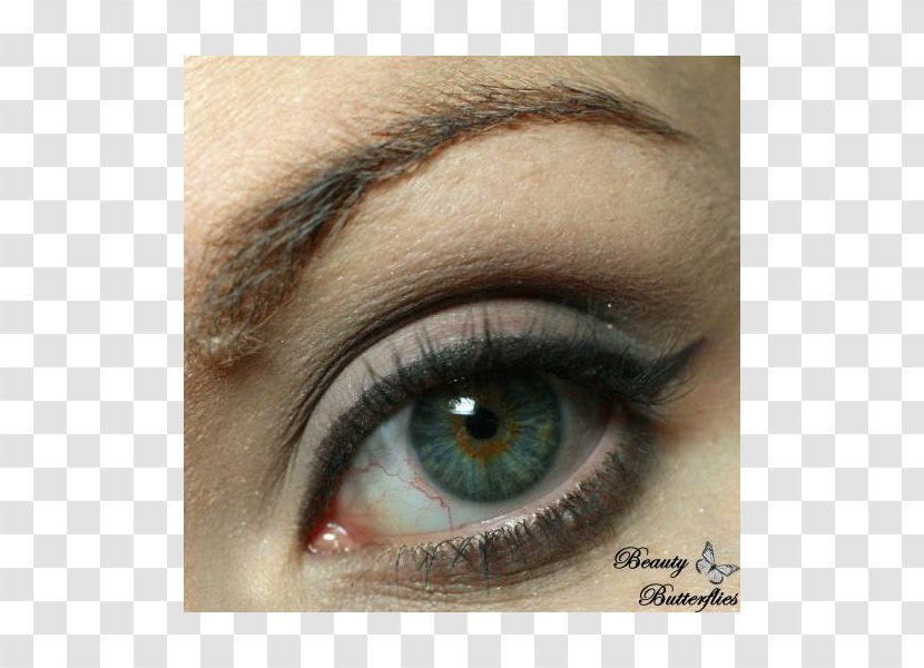 Eyelash Extensions Eye Liner Shadow Lip - Flower - Millie Bobby Brown Transparent PNG