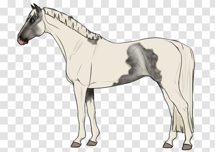 Mane Foal Horse Pony Stallion Transparent PNG