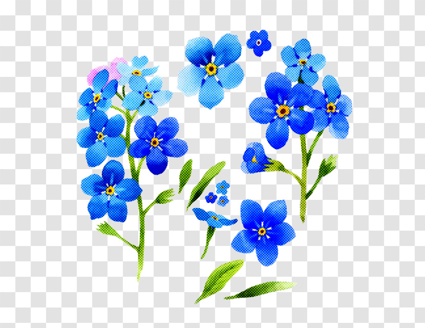 Alpine Forget-me-not Flower Forget-me-not Blue Plant Transparent PNG