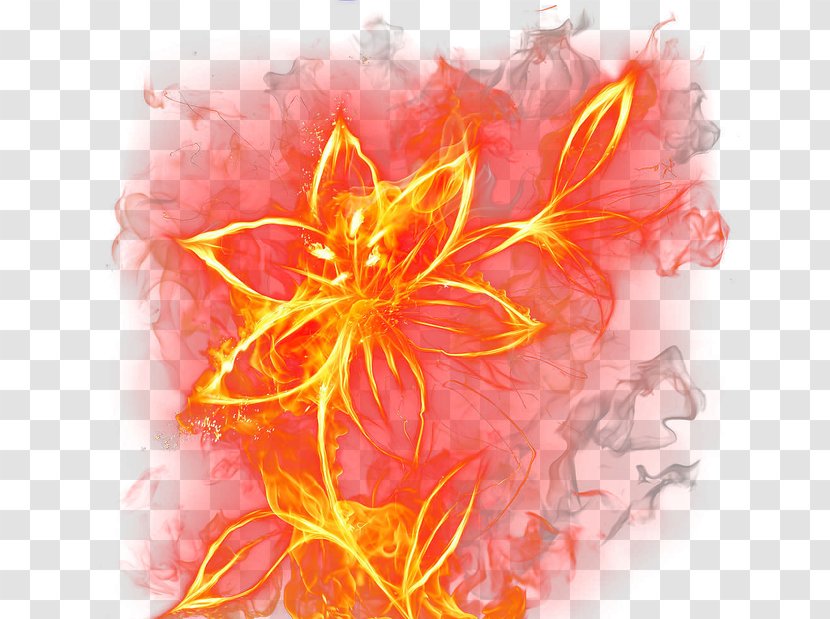 Burning Flowers - Fire - Peach Transparent PNG