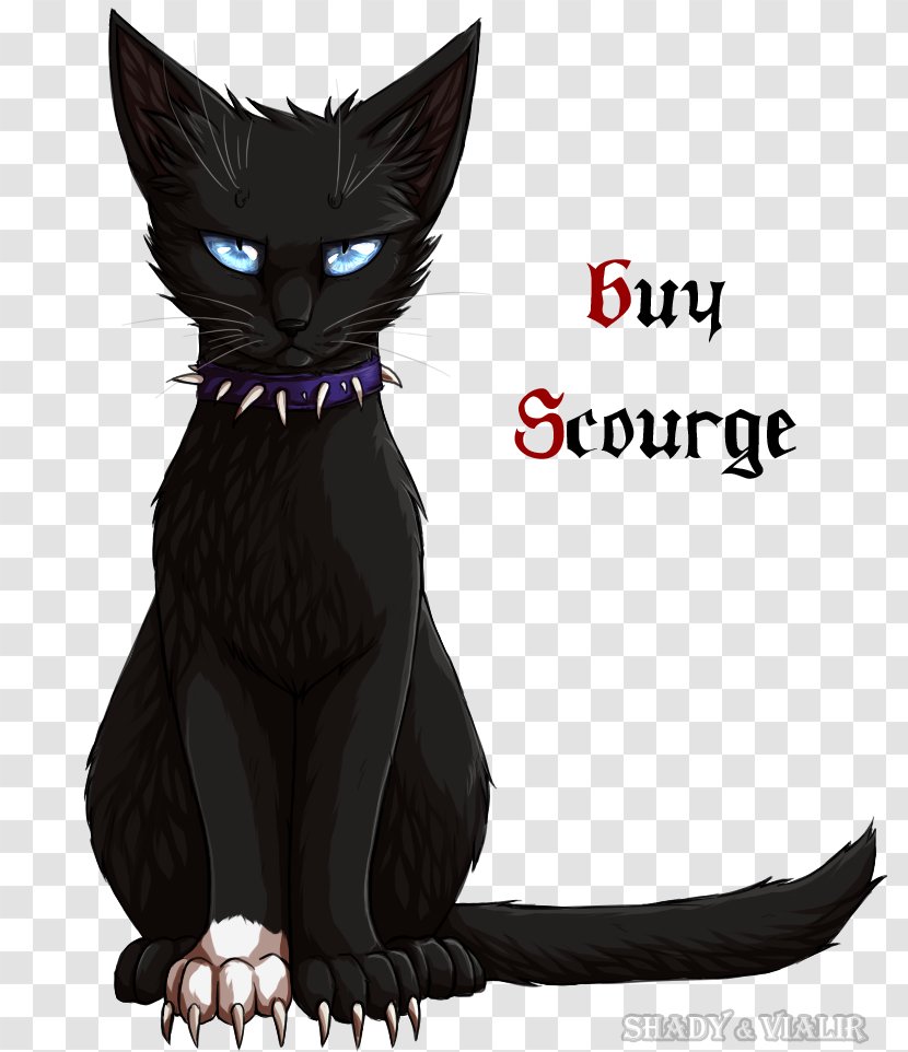 Black Cat Kitten Warriors Whiskers - Fan Art Transparent PNG