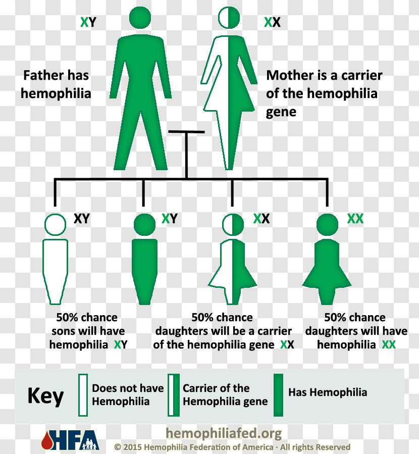 Haemophilia A Genetic Disorder B Coagulopathy - Parallel - Blood Transparent PNG