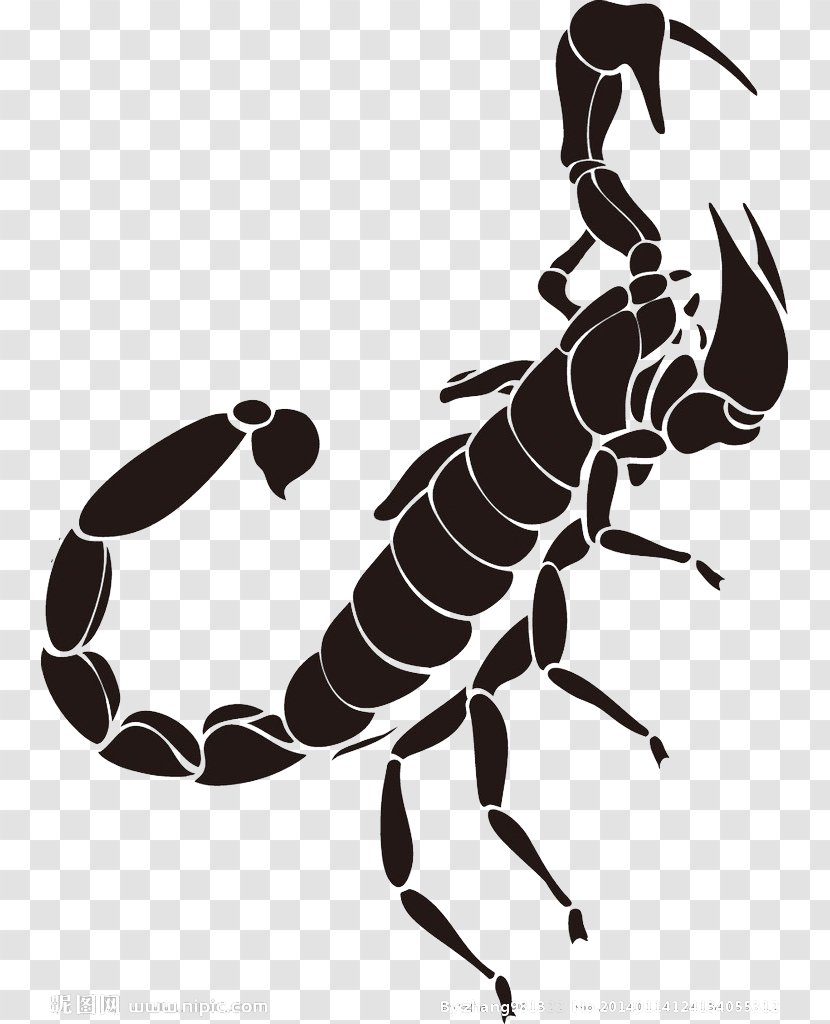 Scorpion Tattoo - Invertebrate - Black Pattern Transparent PNG