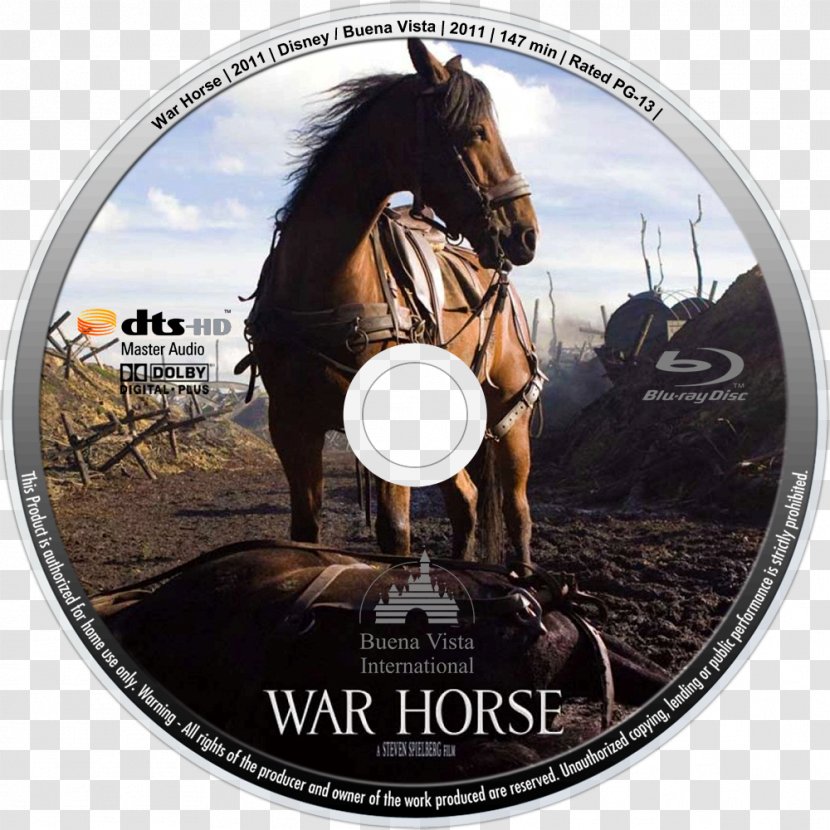 Horses In Warfare War Film - Horse Like Mammal Transparent PNG