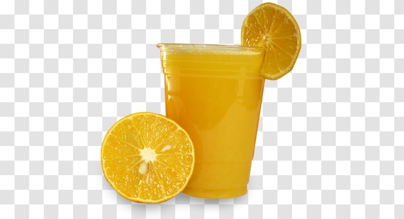 Orange Juice Drink Fuzzy Navel Lemonade Soft - Citric Acid - Jugo De Naranja Fresco Transparent PNG
