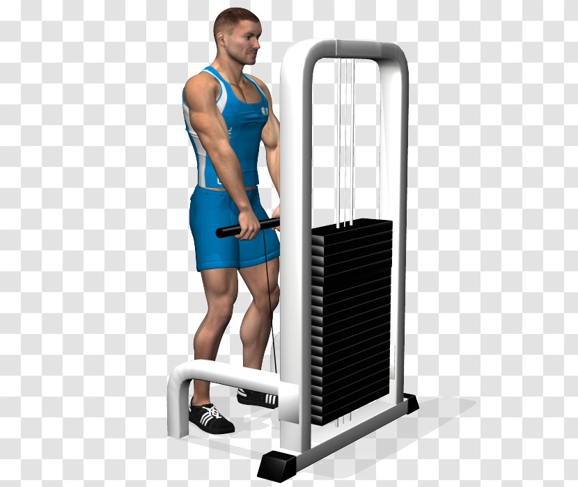 Shoulder Fitness Centre - Arm - Design Transparent PNG