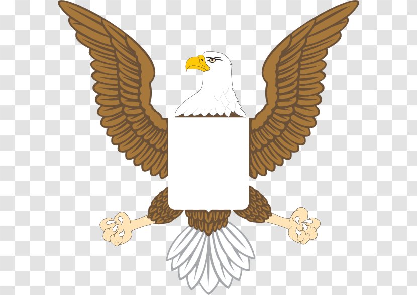 Bald Eagle United States Clip Art - Bird Transparent PNG