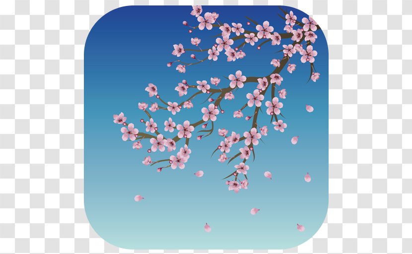 Cherry Blossom Kyoto Transparent PNG