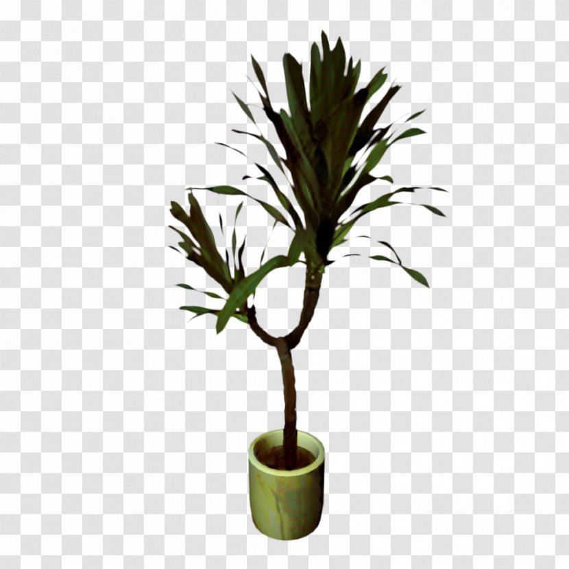 Palm Trees Flowerpot Houseplant Plant Stem Plants - Terrestrial - Tree Transparent PNG