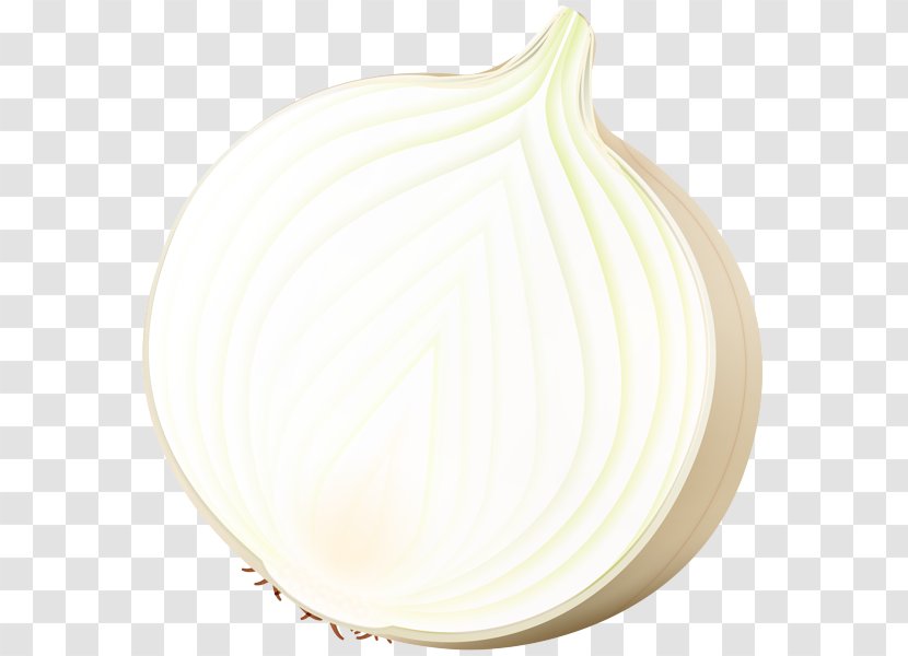 White Onion Dishware Plate Plant - Ceiling - Amaryllis Family Transparent PNG
