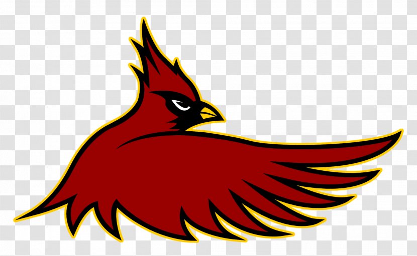 Cardinal Hayes High School Arizona Cardinals St. Louis American Football NFL - Eightman Transparent PNG