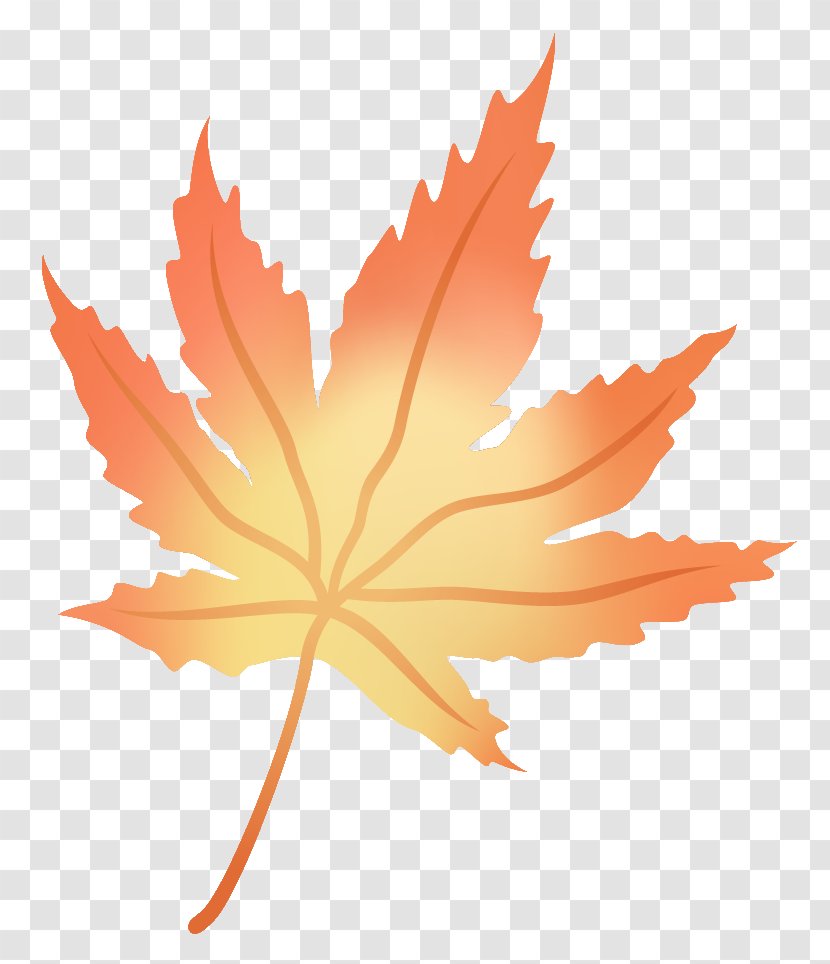 Maple Leaf Flower Transparent PNG