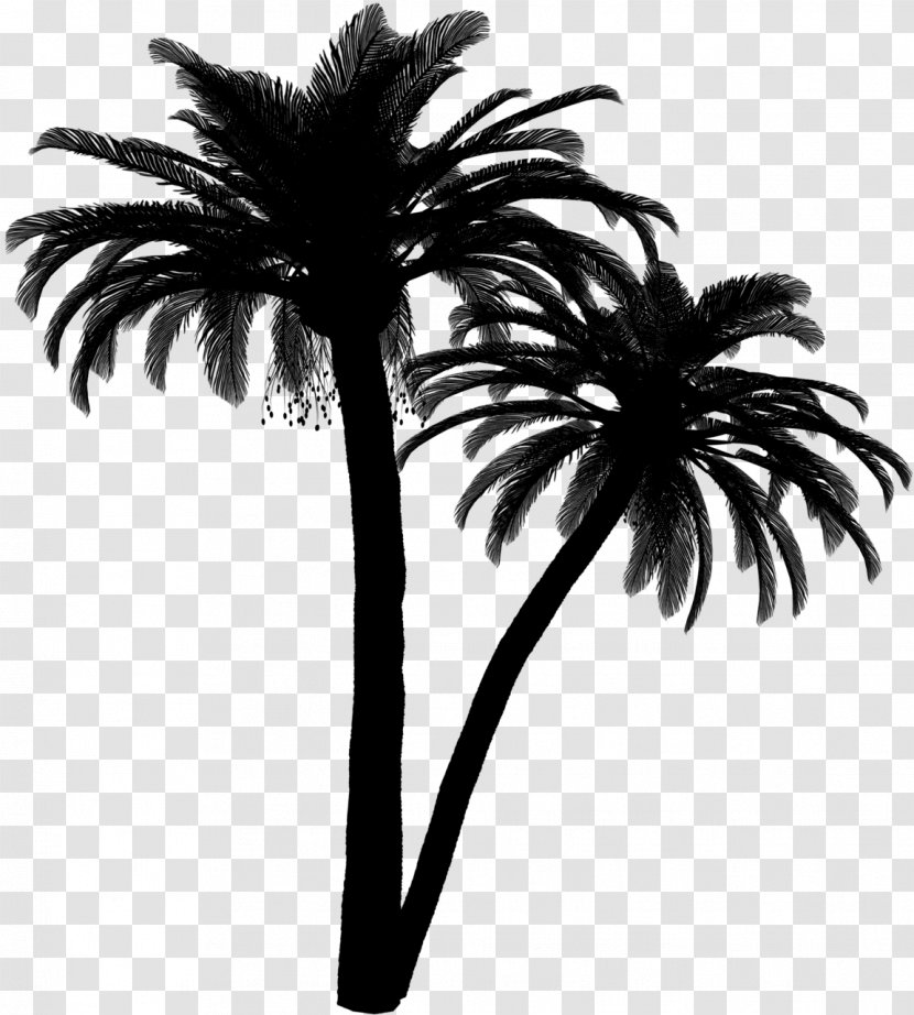 Palm Trees Black & White - M Date Transparent PNG