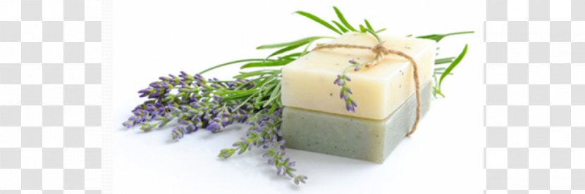 Soap Cosmetics Essential Oil Shampoo Skin - Natural Transparent PNG