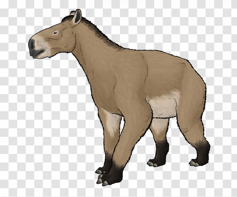 Mule Moropus Horse Pony DeviantArt - Animal - Wild Transparent PNG