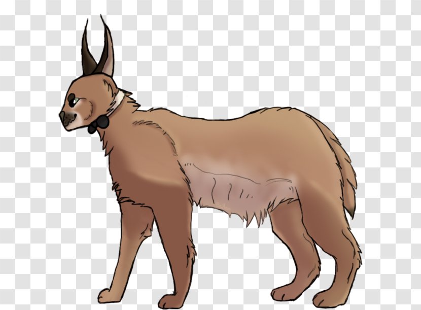 Dog Breed Red Fox Snout Clip Art - Carnivoran Transparent PNG