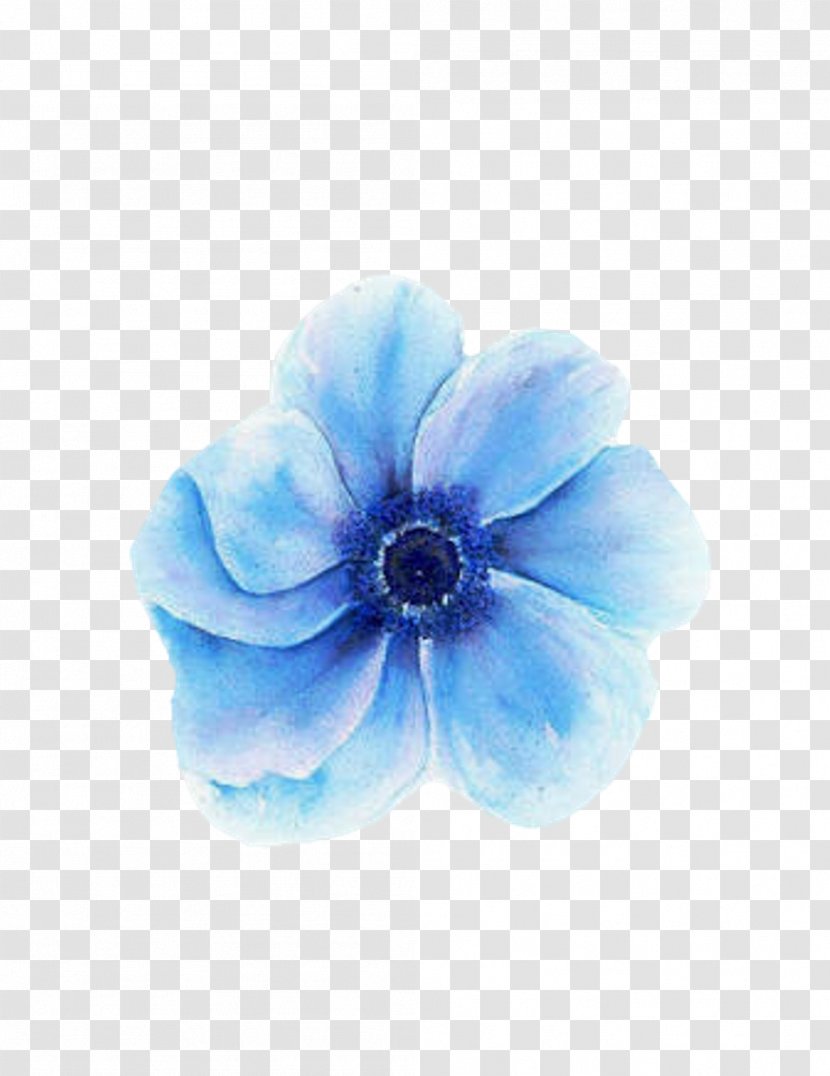 Floral Design Blue Canvas Flower Painting Transparent PNG