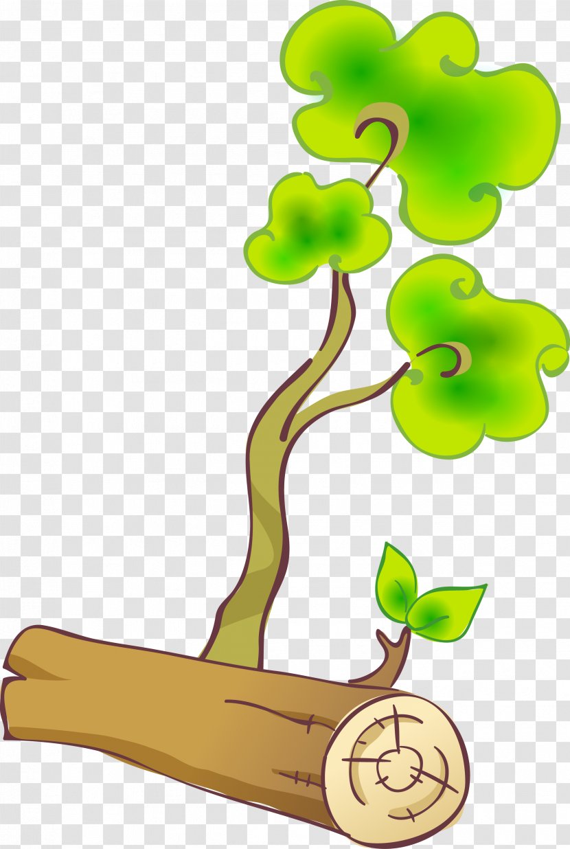 Branch Trunk Tree Clip Art - Leaf Transparent PNG