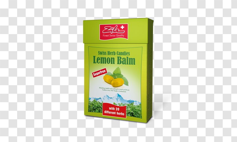 Lemon Balm Swiss International Air Lines Herb Citric Acid - Citrus Transparent PNG