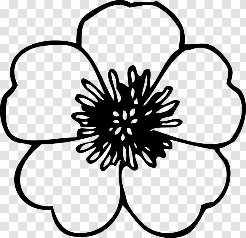 Flower Black And White Drawing Clip Art - Monochrome Photography - Spring Cliparts BW Transparent PNG