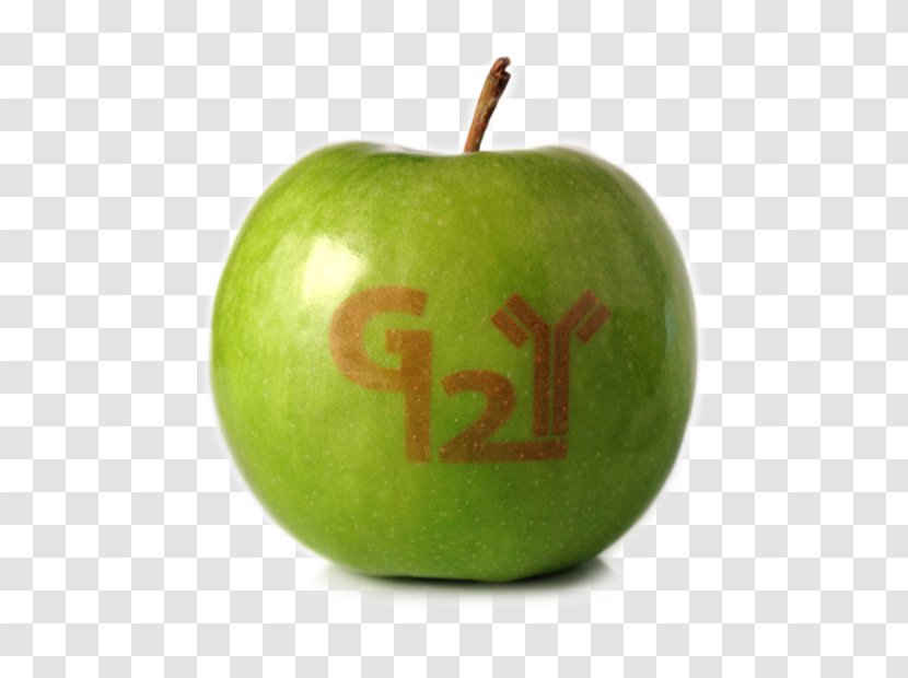 Granny Smith Apple Pie Fruit Stemilt Growers Transparent PNG