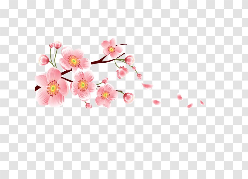 Cherry Blossom Image Flower Graphics - Peach Transparent PNG