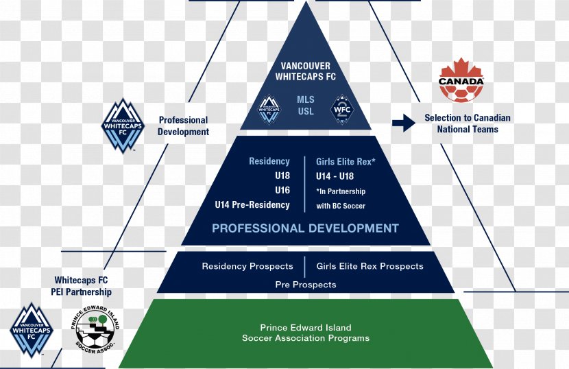Self-actualization Maslow's Hierarchy Of Needs Person Organization - Tree - Cobh Ramblers Fc Transparent PNG