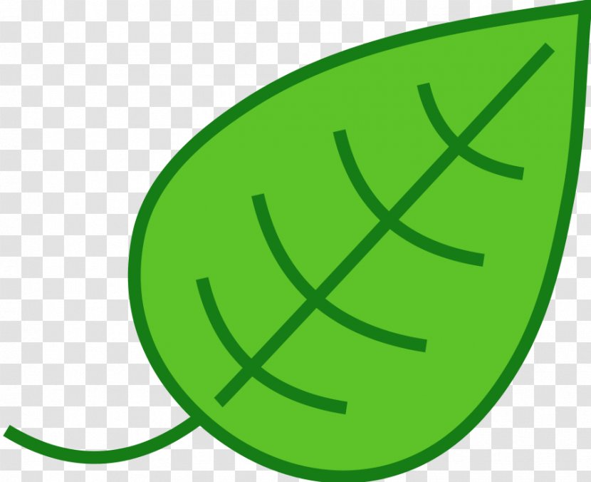 Leaf Green Clip Art - Plant Transparent PNG