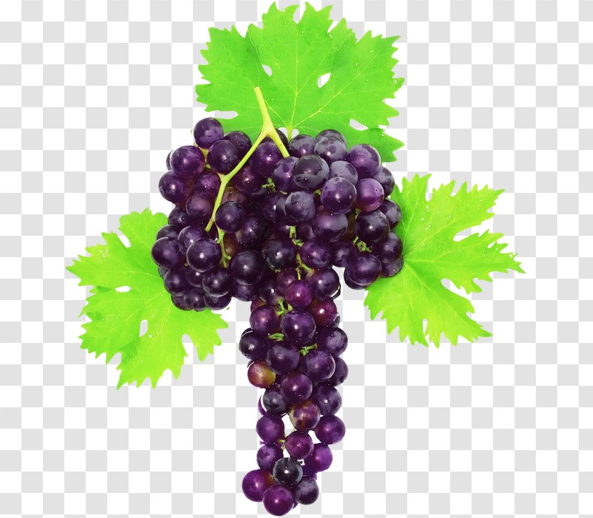 Sultana Grape Leaves Zante Currant Muscat Transparent PNG