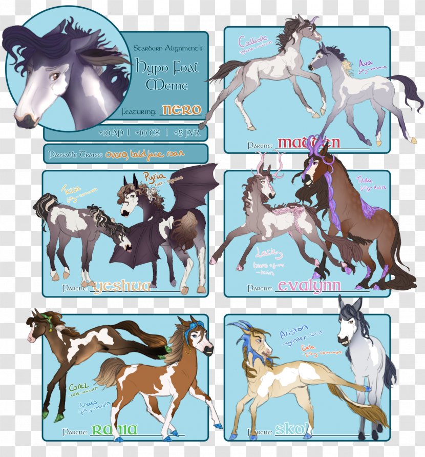 Mustang Foal Colt Stallion Halter - Fiction Transparent PNG