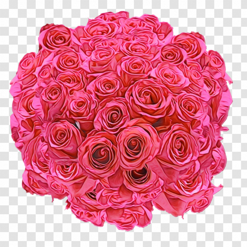 Garden Roses Transparent PNG