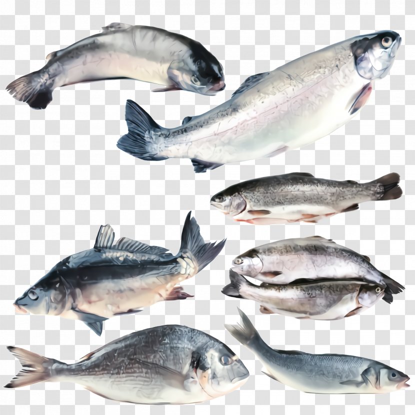 Fish Products Oily Seafood - Stockfish - Sockeye Salmon Transparent PNG
