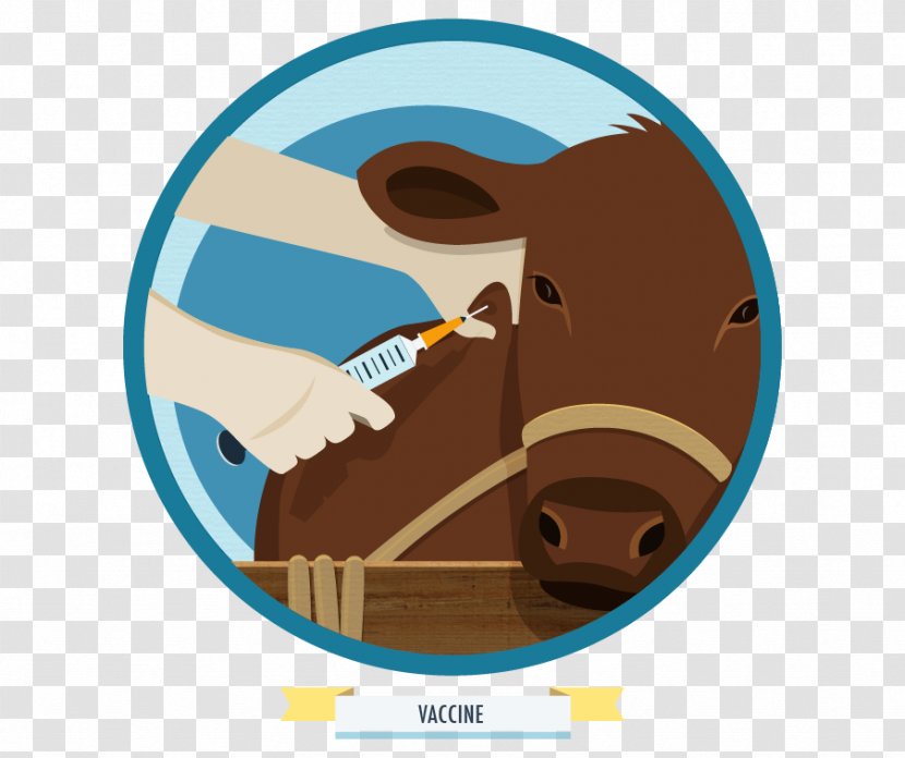 Cattle Mammal Snout Clip Art - Like - Food Infographic Transparent PNG