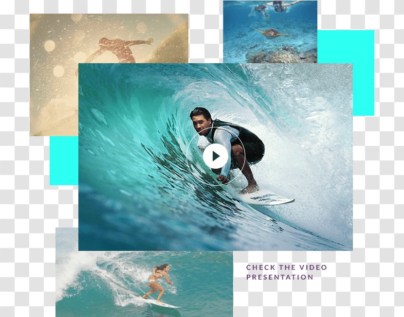 Surfing Surfboard Standup Paddleboarding Surf Culture Sport - Vacation Transparent PNG