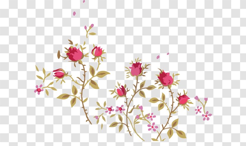 Floral Design Thorns, Spines, And Prickles Beach Rose Flower Transparent PNG