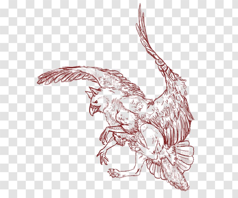 Chicken Bird Of Prey Legendary Creature - Line Art Transparent PNG