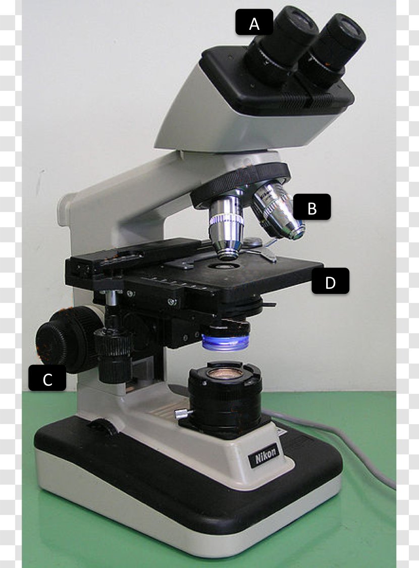 Light Optical Microscope Optics Magnification - Lens Transparent PNG