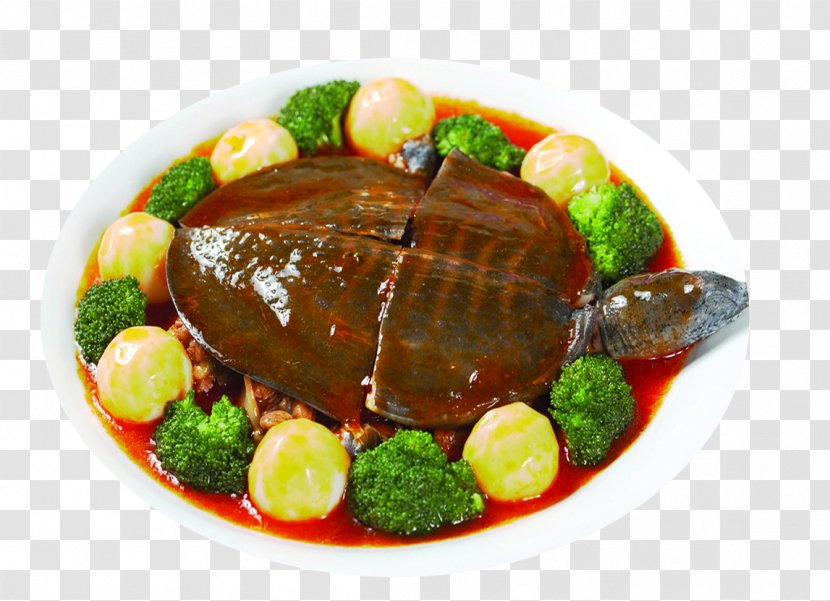 Trionychidae Chinese Softshell Turtle Eating Food Meat - Energy - Eggs Transparent PNG