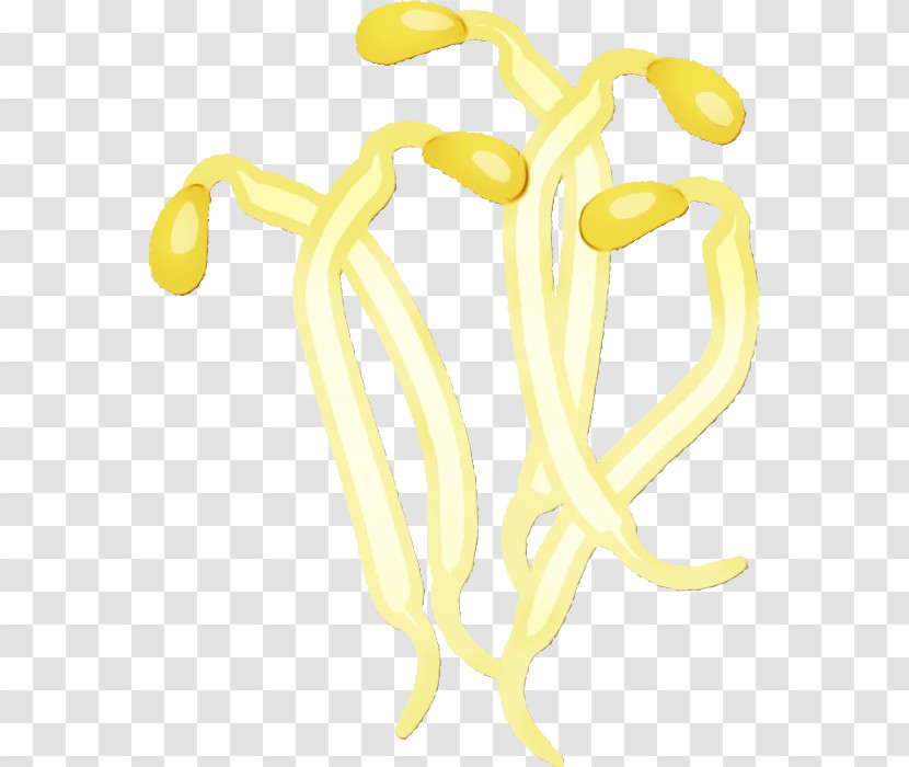 Yellow Joint Line Jewellery Fruit Transparent PNG