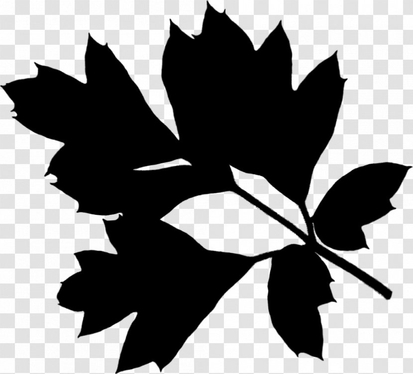 Maple Leaf Black & White - Woody Plant - M Clip Art Stem Transparent PNG