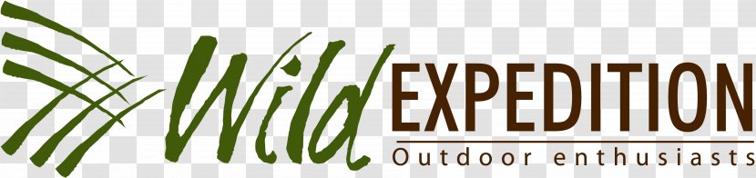 New Testament The Bible Experience Logo Grasses Brand - Expeditionary Learning Schools - Roof Candyshop Transparent PNG