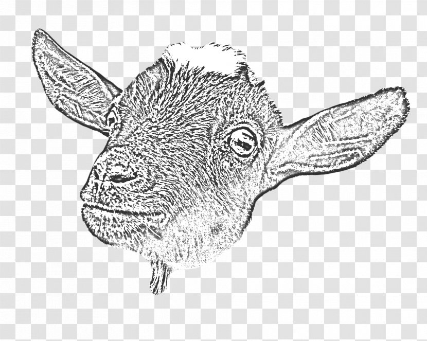 Goat Yoga Cattle Drawing Line Art - Dairy Transparent PNG