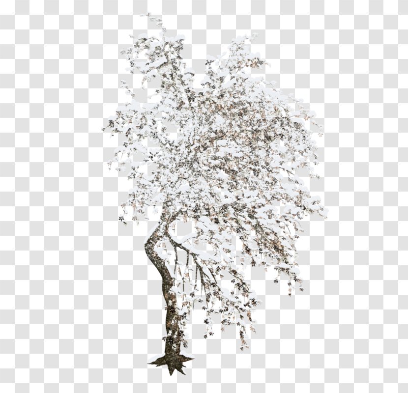 Tree Winter Clip Art - Flower - Trees Transparent PNG