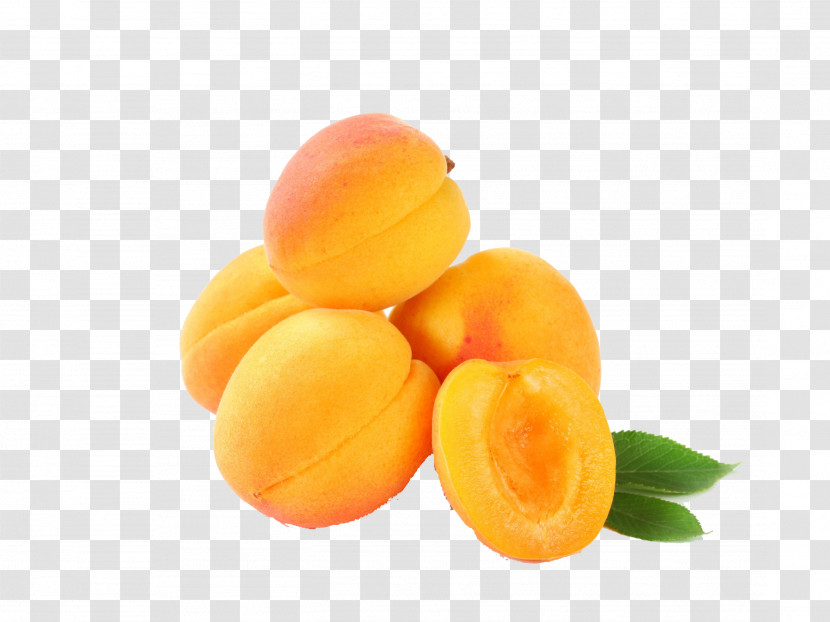 Food Yellow Apricot Fruit Plant Transparent PNG