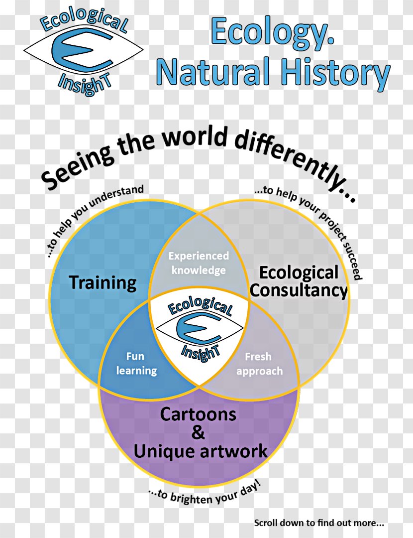Organization Brand Logo Font - Diagram - Ecological Information Transparent PNG