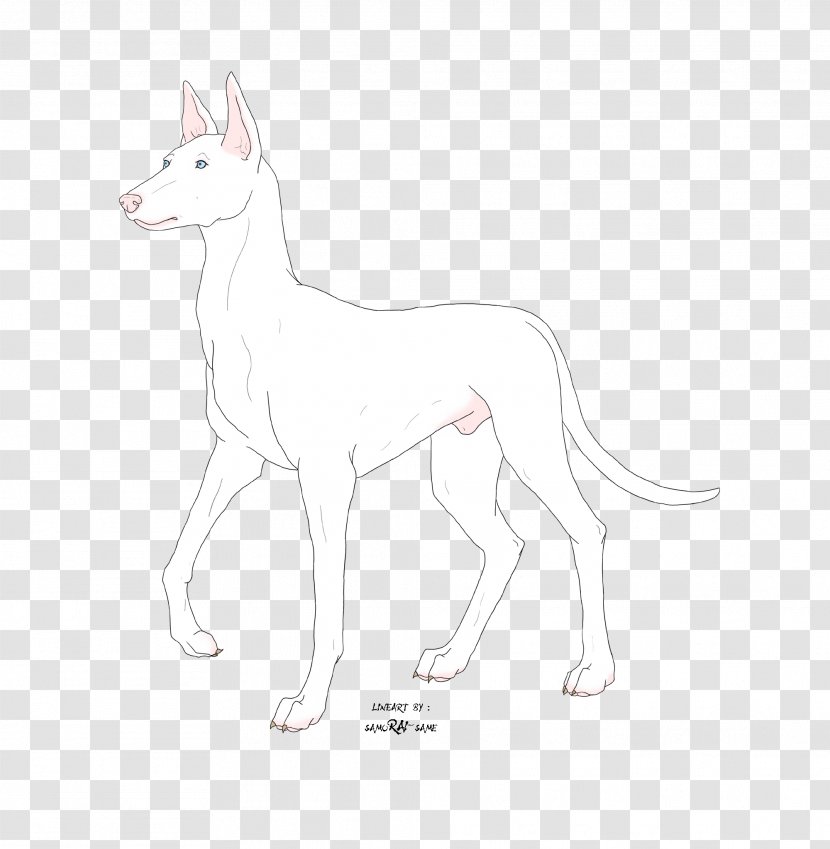 Dog Breed White Shepherd Drawing /m/02csf Line Art - Group - Dominic Cooper As Howard Stark Transparent PNG