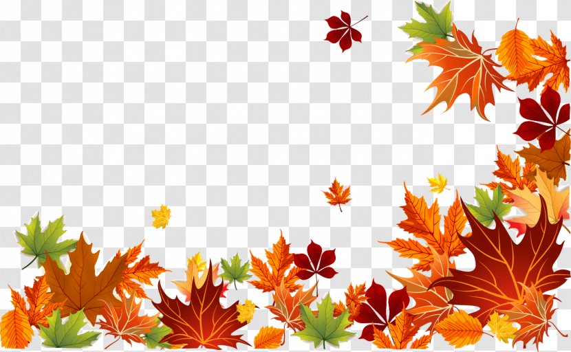 Autumn Leaf Color Euclidean Vector - Orange - Leaves Background Transparent PNG