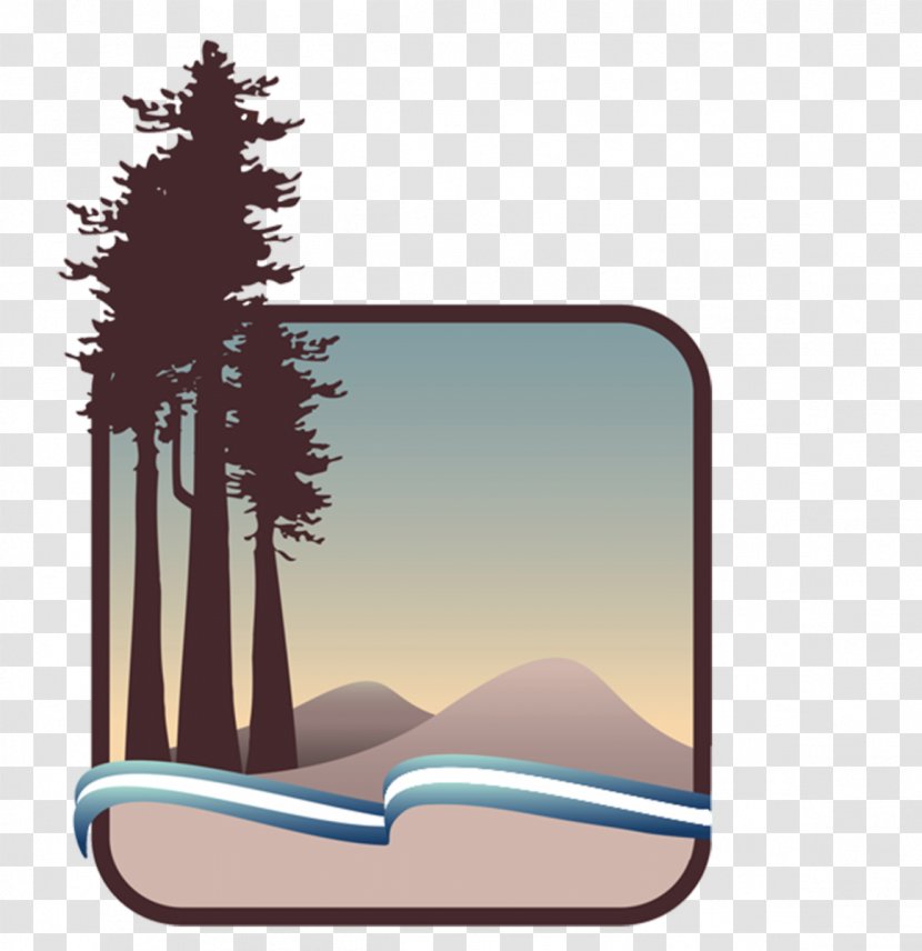 Redwood National And State Parks Crescent City Save-the-Redwoods League California Department Of Recreation - North Coast - Park Transparent PNG