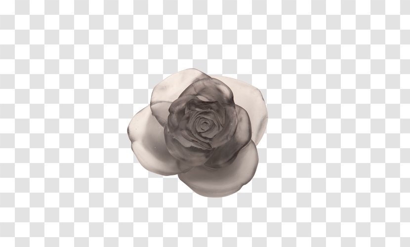 Daum Floral Design France Flower Garden Roses - Art Transparent PNG